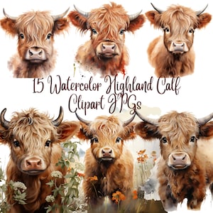 15 Watercolor Highland Calf  Clipart,JPG, Commercial use, Digital Paper Crafting, Digital Download, Watercolor,Highland calf clipart