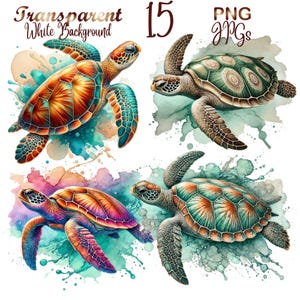 15 PNG & JPG Sea Turtle Clipart bundle, Paper crafts, Junk Journals, sea turtle clipart,Commercial USe, Digital Download