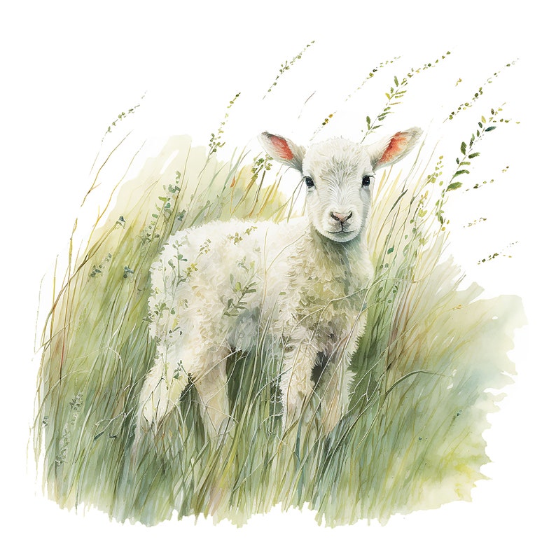 May include: Watercolor illustration of a fluffy white lamb standing in tall green grass. The lamb has pink ears and a gentle expression. The artwork has a soft, natural feel, with delicate brushstrokes and a focus on the lamb's fur and the surrounding foliage.