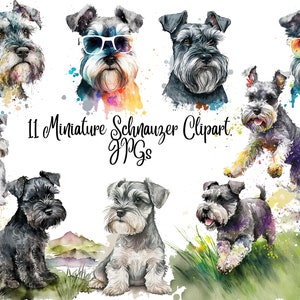 11 Miniature Schnauzer Clipart, JPGs, Commercial use, Digital Download,Watercolor Clipart,Card Making,Clip Art,Digital Paper Craft