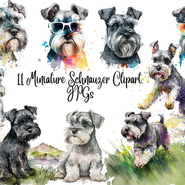 11 Miniature Schnauzer Clipart, JPGs, Commercial use, Digital Download,Watercolor Clipart,Card Making,Clip Art,Digital Paper Craft