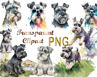 11 Miniature Schnauzer png, Mini Schnauzer png, Schnauzer Clipart, Schnauzer sublimation,Commercial USe, digital download,sublimation design