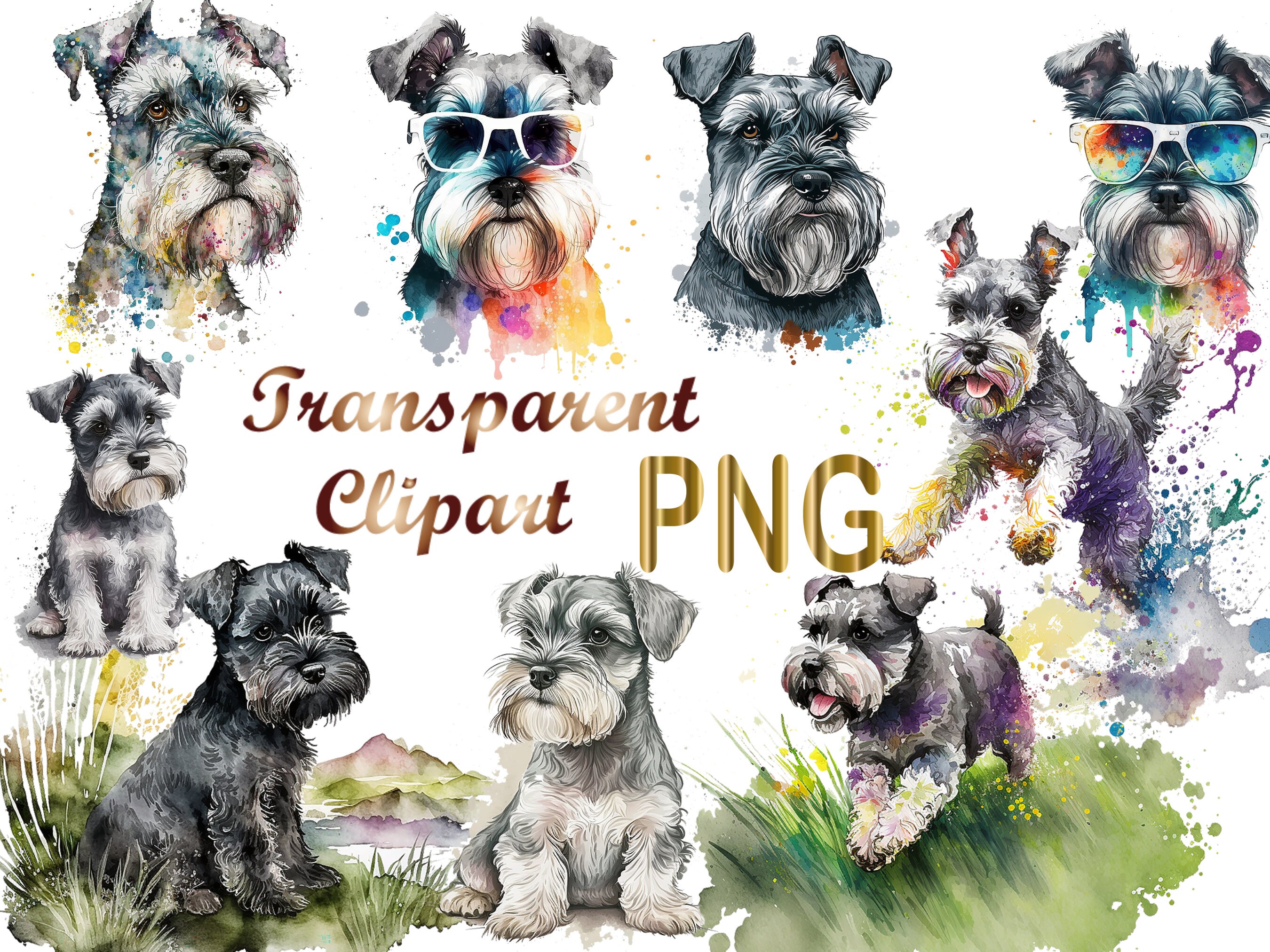11 Miniature Schnauzer png, Mini Schnauzer png, Schnauzer Clipart, Schnauzer  sublimation,Commercial USe, digital download,sublimation design - Etsy  México, image size:2700x2025