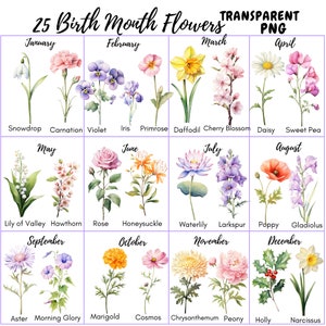 25 Birth Month Flowers Clipart, PNG, Set Watercolor, Watercolor Floral ...
