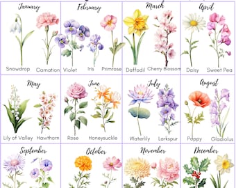 25 Birth Month Flowers Clipart, PNG, Set Watercolor, Watercolor Floral PNG, Birth Month Flower Kit Watercolor Clipart, Bundle for Birthday