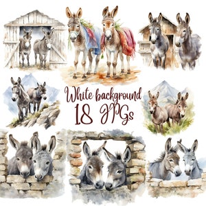 18 Happy Donkeys Clipart, Donkey clipart, JPG, Commercial use,Digital Download, Card Making, Mixed Media,Digital Paper Craft,Watercolor,