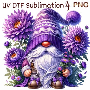 4 PNG, Aster gnome design, flower gnome, autumn gnome png, gnome png, Sublimation, dtf png files trendy,dtf png artwork,dtf,dtf design