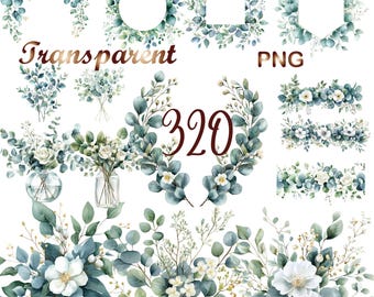 320 Watercolor Eucalyptus Clipart: Greenery PNG Bundle (Digital Download)