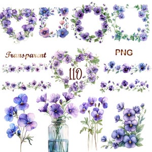 Könnte beinhalten: Aquarell-Blumen-Clip-Art mit lila und blauen Stiefmütterchen. Das Bild enthält Kränze, Bordüren und einzelne Blumenarrangements. Die Wörter "Transparent" und "PNG" sind ebenfalls sichtbar. Ideal für digitale Kunstprojekte.