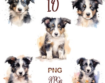 10 PNG/JPG,Сute Puppy Clipart,Watercolor Cute dog Clipart bundle,Baby Dog Clipart,Watercolor Border Collie PNG,Dog Portrait,Commercial use