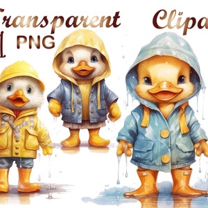 11 Watercolor Duck PNG Clipart, duckling png, duck clipart, duckling clipart, watercolor clipart, digital download, duck png, commercial use