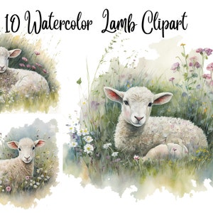 Op de afbeelding: Waterverf clipart met drie illustraties van lammeren die rusten in velden met wilde bloemen. De lammeren hebben witte wol en roze oren. De tekst "10 Watercolor Lamb Clipart" staat bovenaan de afbeelding.