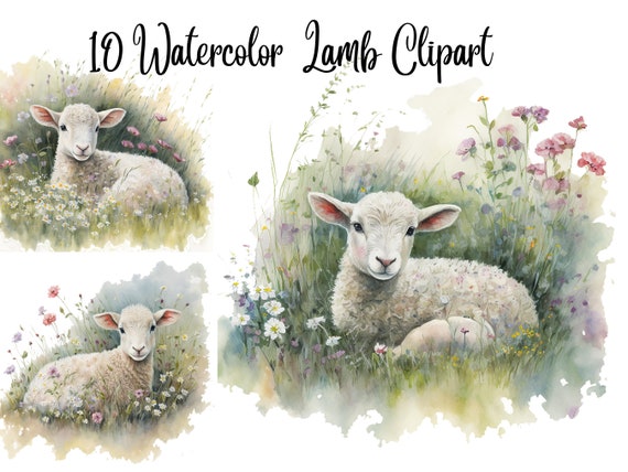 10 JPGs, Lamb Clipart Watercolor, Watercolor Fawn, Fawn clipart,Baby  Lamb Clipart, Commercial use, Paper crafts, Junk Journals