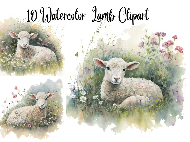 Op de afbeelding: Waterverf clipart met drie illustraties van lammeren die rusten in velden met wilde bloemen. De lammeren hebben witte wol en roze oren. De tekst "10 Watercolor Lamb Clipart" staat bovenaan de afbeelding.