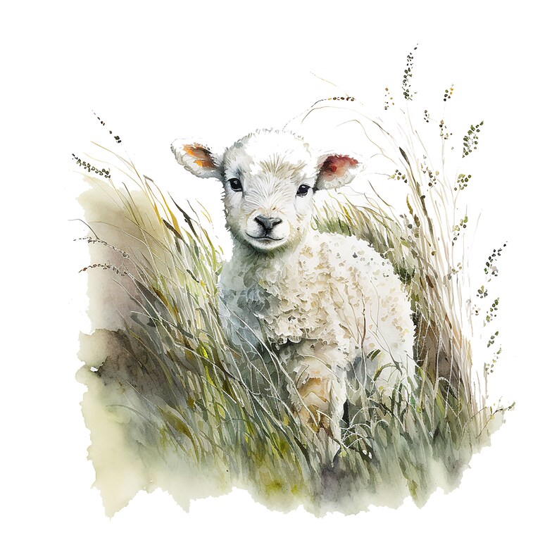 May include: Watercolor painting of a fluffy white lamb standing in tall grass. The lamb has a sweet expression and is surrounded by shades of green, brown, and beige. The artwork has a soft, gentle feel.