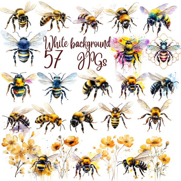 57 Bumblebee Clipart, bee  Clipart,High Quality JPG, Digital Download,Card Making,Mixed Media,Digital Paper Craft,bee clipart,Watercolor bee