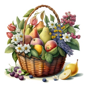 12 Fruit Basket Clipart, Harvest Clipart, Jpgs, Commercial Use, Digital ...