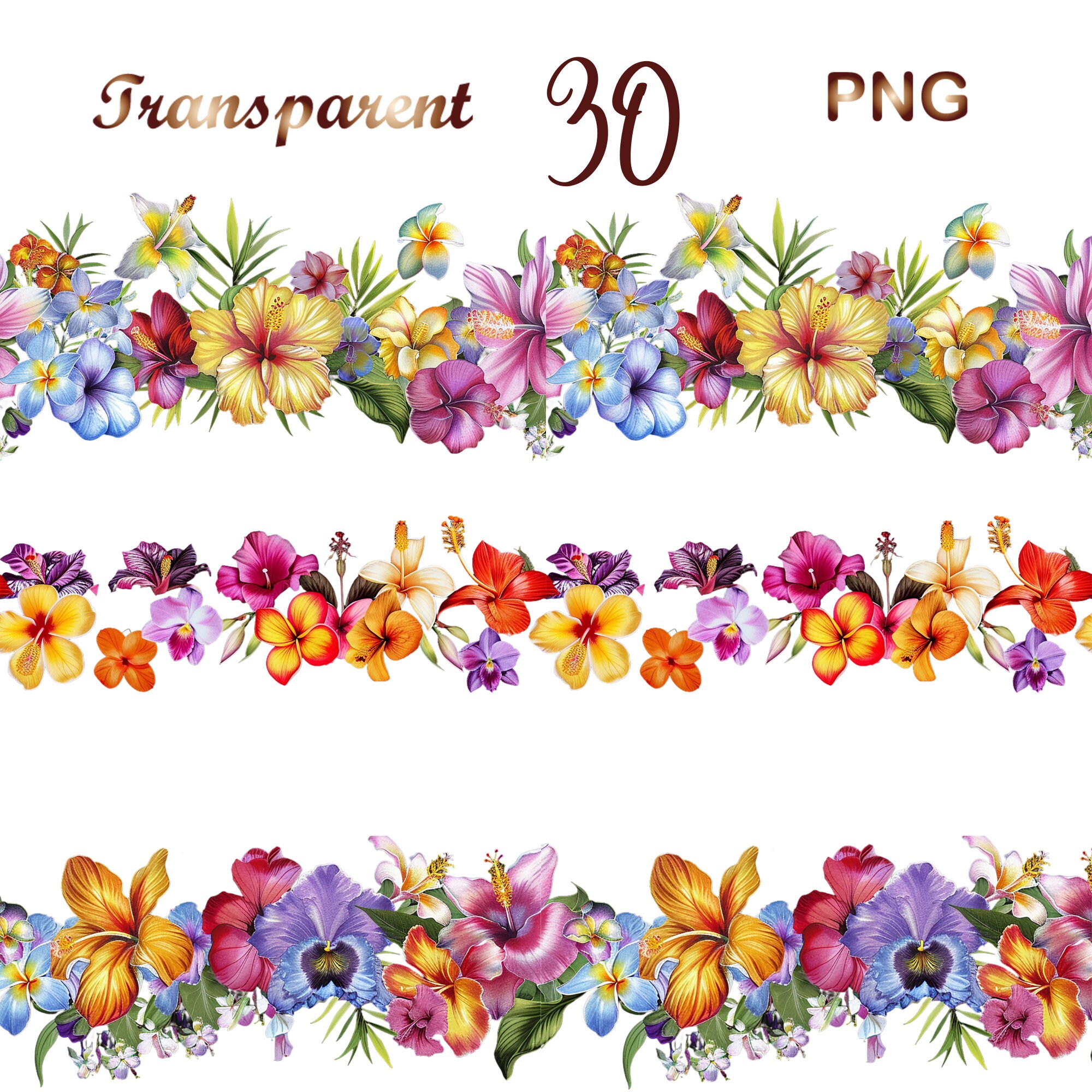 Flower Note Border R Transparent Floral Borders Png Flower Border High 800x533