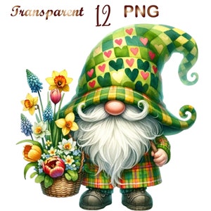 12 Gnome clipart bundle, Gnome clipart, Gnome png, Gnome graphics, Gnome sublimation, whimsical gnome,Commercial Use