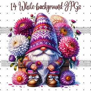 14 JPG, Birth month flower Clipart, Birth month flower gnome, Aster Gnome, cute gnome, cute gnome clipart,gnome,gnome clipart