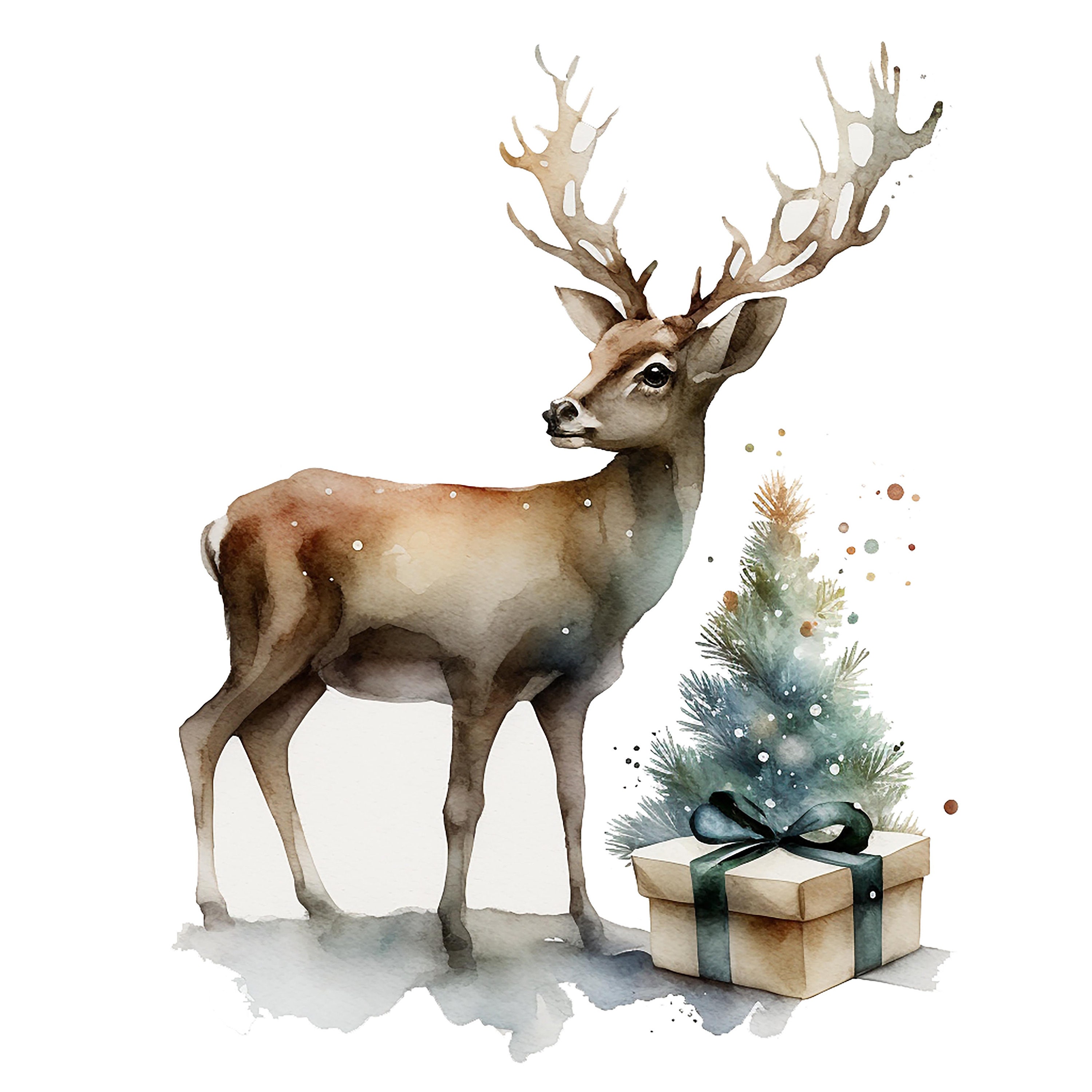 11 Cute Fawn Clipart , Christmas Deer Clipart, High Quality Jpgs ...