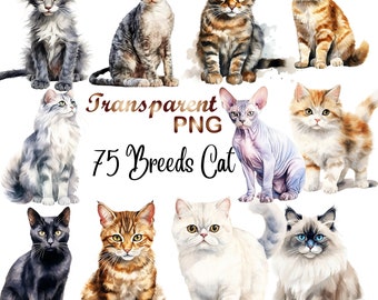 75 PNG, Cat Breeds Clipart Bundle, Cute cats clipart, Graphic design cats, animals clipart,  digital download.