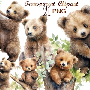 Watercolor  Baby Bear Clipart, PNG,  Clipart Bear, Woodland Animals, Cute Forest Animals, Baby Bear png, Baby Animals Print, Commercial use