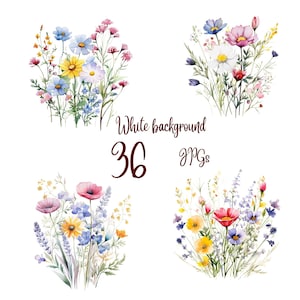 36 Wildflower meadow clipart JPGs, High Quality JPGs, Wild flowers for print,Digital Download - Card Making, Mixed Media,Digital Paper Craft