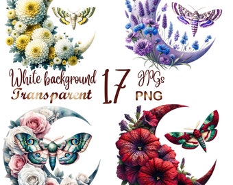 17 PNG/JPG, Flower Crescent and moth clipart bundle, Crescent and moth clipart, Commercial use,Digital Download,Watercolor Clipart