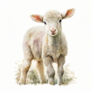 10 PNG/JPG  Lamb Clipart Watercolor,High Quality, Commercial use,Paper crafts,Junk Journals,Watercolor Fawn, Fawn clipart,Digital Download,