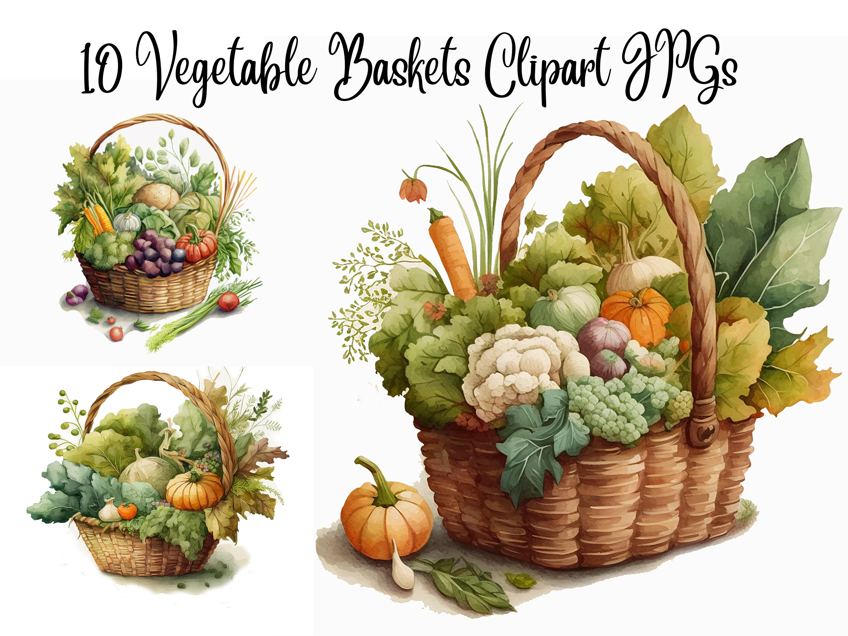 10 Vegetable Baskets Clipart Harvest Clipart Jpgs Etsy UK