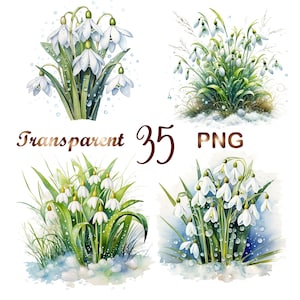 35 PNG, Clipart bucaneve, Clipart fiori primaverili, Clipart acquerello stampabile, Alta qualità, Download digitale, Carta artigianale, diari spazzatura