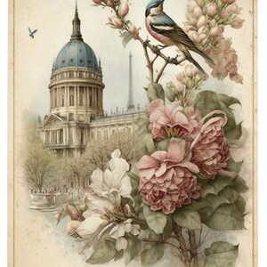 May include: A vintage-style illustration featuring a blue and white domed building with a pink and blue bird perched on a branch of pink and white flowers. The Eiffel Tower is visible in the background.
