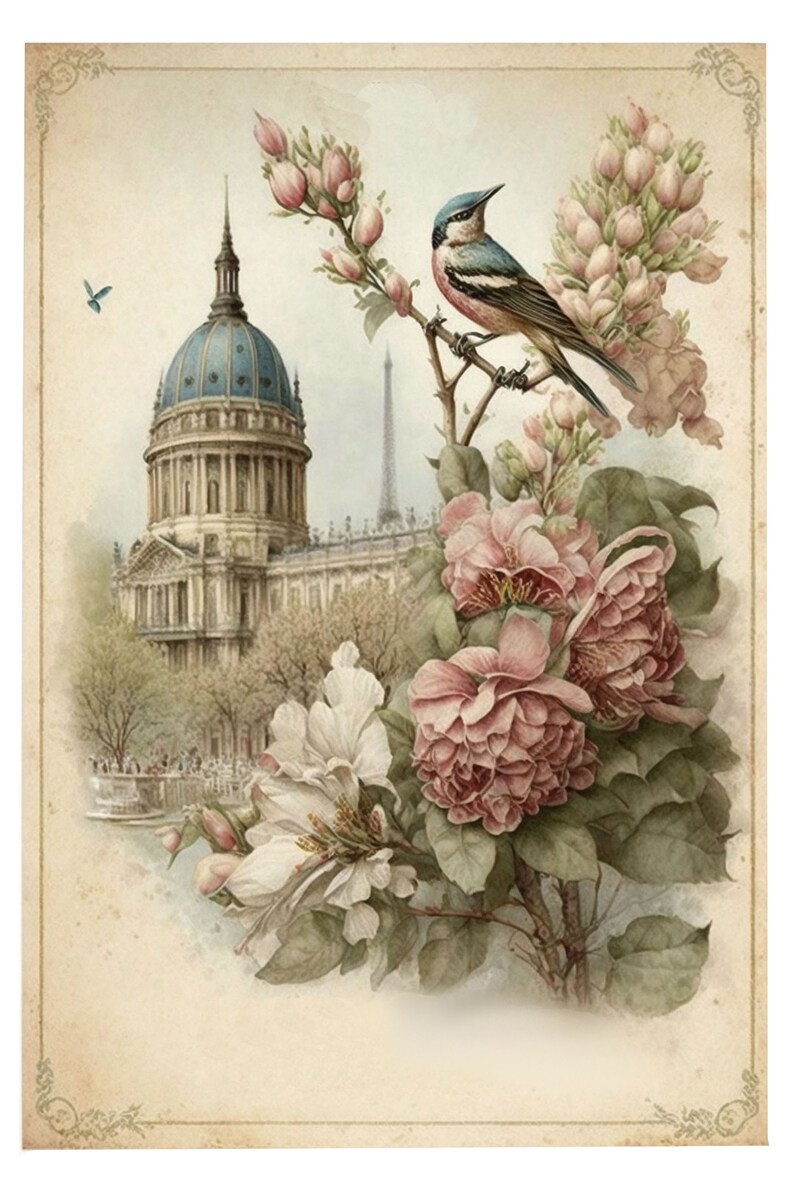 May include: A vintage-style illustration featuring a blue and white domed building with a pink and blue bird perched on a branch of pink and white flowers. The Eiffel Tower is visible in the background.