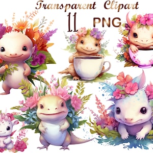 11 Baby Axolotl Watercolor Clipart png, Axolotl Сlip art, cute Axolotl, Baby Axolotl png, Axolotl clip art, commercial use