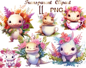 11 Baby Axolotl Watercolor Clipart png, Axolotl Сlip art, cute Axolotl, Baby Axolotl png, Axolotl clip art, commercial use