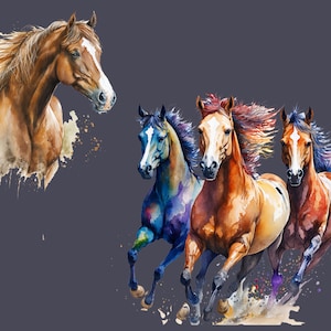 16 Horses Png, Horse Png, Horses Png, Western Png, Cowgirl Png ...