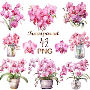 42 PNG, Watercolor Pink Orchid Clipart bundle, watercolor flower Orchid clip art, Spring floral clipart,Pink Orchid Clip art  Commercial use