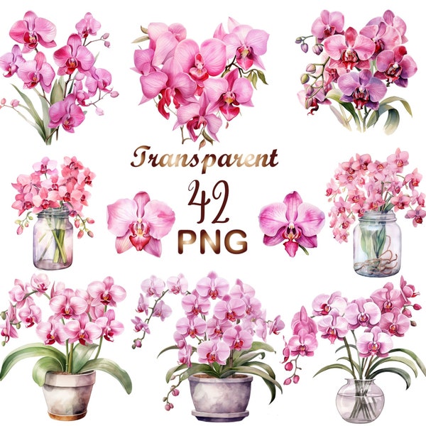 42 Watercolor Pink Orchid Clipart PNG, watercolor flower Orchid clip art, Spring floral clipart, Pink Orchid Clip art  Commercial use
