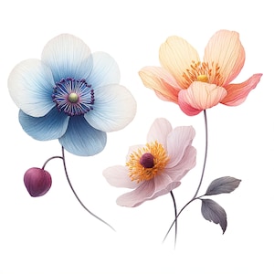 K&ouml;nnte beinhalten: Drei zarte Bl&uuml;ten mit weichen Bl&uuml;tenbl&auml;ttern in Blaut&ouml;nen, Rosa und Pfirsich. Die Bl&uuml;ten sind auf d&uuml;nnen Stielen vor einem wei&szlig;en Hintergrund angeordnet.