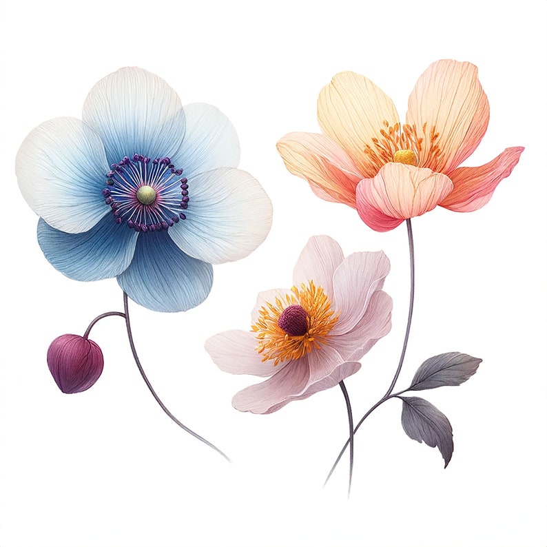 K&ouml;nnte beinhalten: Drei zarte Bl&uuml;ten mit weichen Bl&uuml;tenbl&auml;ttern in Blaut&ouml;nen, Rosa und Pfirsich. Die Bl&uuml;ten sind auf d&uuml;nnen Stielen vor einem wei&szlig;en Hintergrund angeordnet.