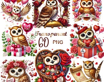 Pacchetto clipart di gufi di San Valentino: 60 graziosi PNG di gufi, cuori, rose, animali dell'amore, clipart di San Valentino, uso commerciale, download digitale