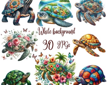 30 JPG, Watercolor Tropical Turtle clipart bundle, watercolor turtle, turtle design, Sea turtle Tropical, sea turtle, turtle clipart bundle