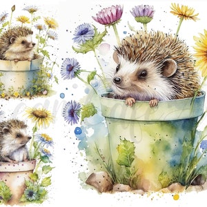 6 Floral Hedgehog JPGs,  Set 3, Commercial Use,  Digital Download, Card Making, Mixed Media, Digital Paper Craft, Watercolor clipart