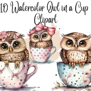 10 Owl in a Cup Clipart, Owl clipart, JPGs, Commercial use, Digital download, Printable art, Crafts,Paper crafts, Scrapbooking, Journalling