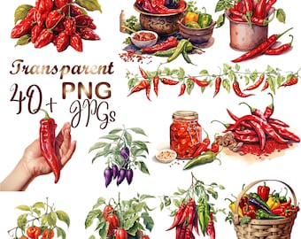 40 PNG, Chili Clipart, Chillies Watercolor Clipart Bundle, Chilli Peppers, Chili Plant, Chilli Sauce, Digital Download, Commercial Use