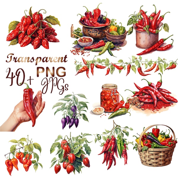 40 PNG, Chili Clipart, Chillies Watercolor Clipart Bundle, Chilli Peppers, Chili Plant, Chilli Sauce, Digital Download, Commercial Use