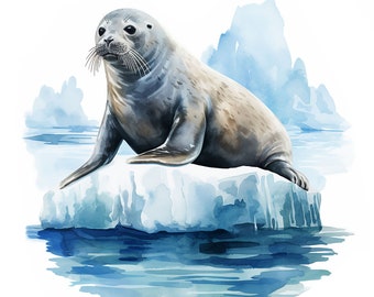 20 imágenes prediseñadas de focas invernales en formato JPG, imágenes prediseñadas de acuarela imprimibles, imágenes prediseñadas de focas invernales, descarga digital, alta resolución, manualidades de papel