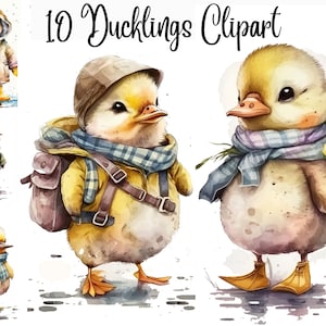 10 Ducklings clipart, baby duck clipart, duckling, animal clipart,watercolor duck,digital illustration,JPGs, Commercial Use,Digital Download