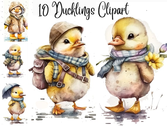10 Ducklings clipart, baby duck clipart, duckling, animal clipart,watercolor duck,digital illustration,JPGs, Commercial Use,Digital Download